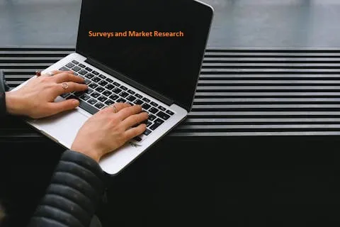 Maximize Your Earnings: A Guide to Online Surveys and Market Research Platforms