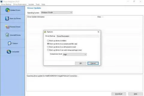 Download Driver Magician Lite for Windows