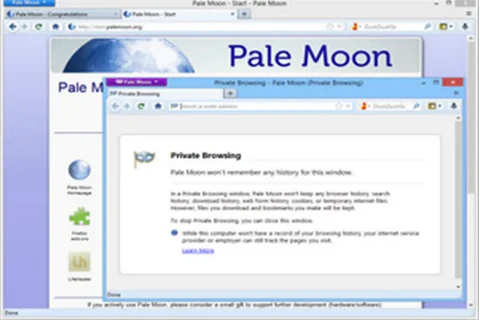 Download Pale Moon for Windows, macOS and Linux